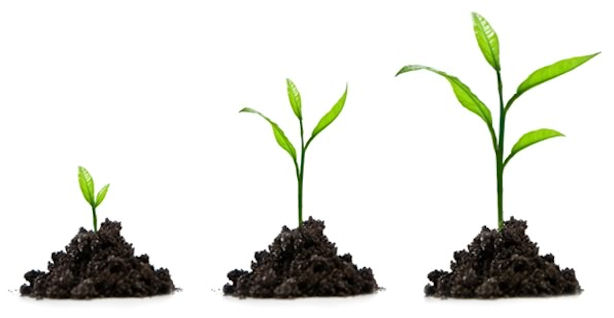 Devon web site business packages